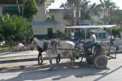 03-Horse carriage